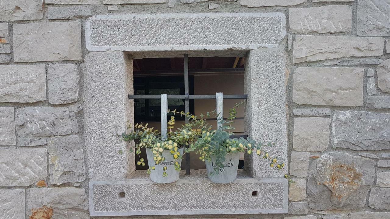 Guesthouse Pri Mihelovih Sežana Exteriér fotografie