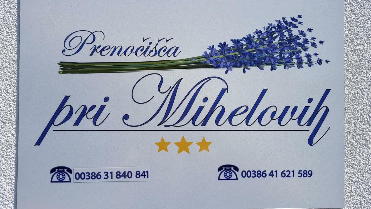 Guesthouse Pri Mihelovih Sežana Exteriér fotografie
